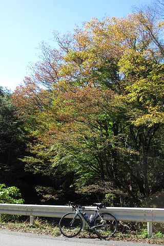 photo-20231022-3