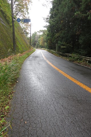 photo-20231107-1