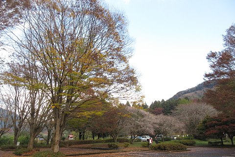 photo-20231107-2