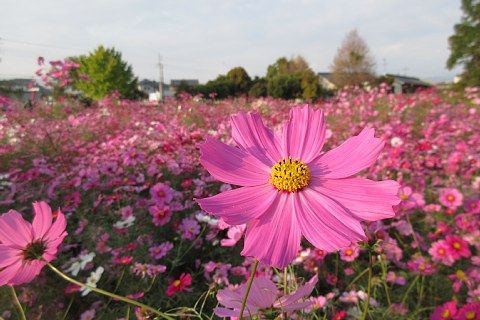 photo-20231107-3