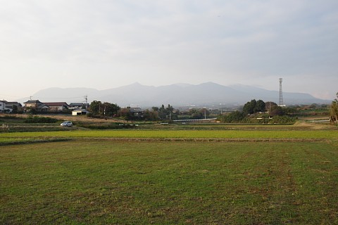 photo-20231107-5