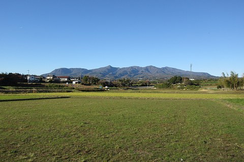 photo-20231119-2