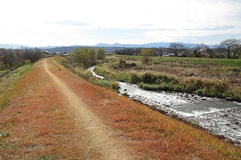 photo-20231126-1