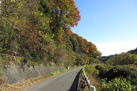 photo-20231126-2