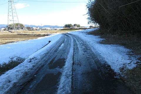 photo-20240215-1