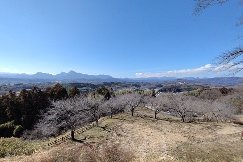 photo-20240218-1
