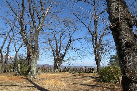 photo-20240218-3