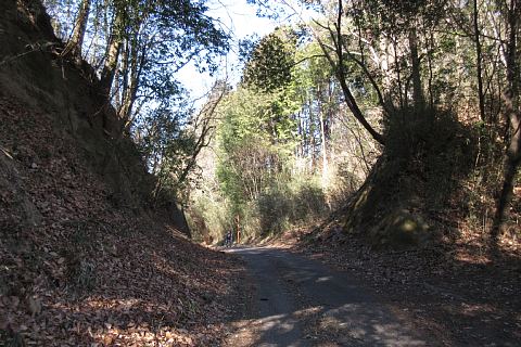 photo-20240218-4