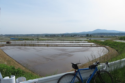 photo-20240519-3