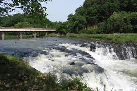 photo-20240519-4