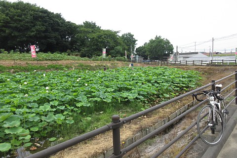 photo-20240701-1