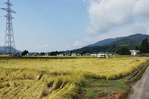 photo-20240917-1