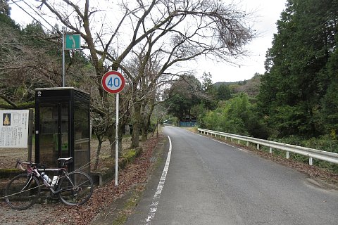 photo-20241027-3