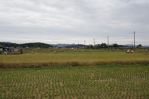 photo-20241027-4