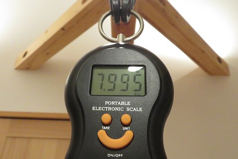 photo-20241104-2