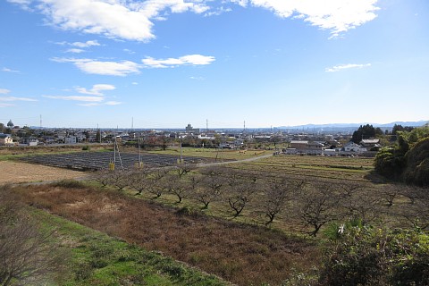 photo-20241201-2