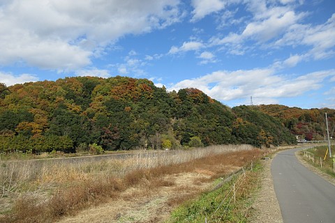 photo-20241201-5