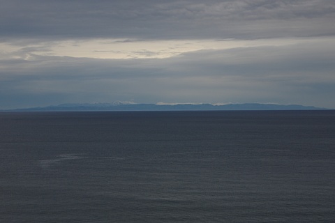 photo-20250415-1