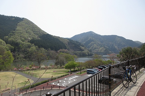 photo-20250419-1