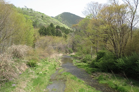 photo-20250419-2