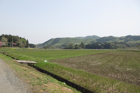 photo-20250419-3