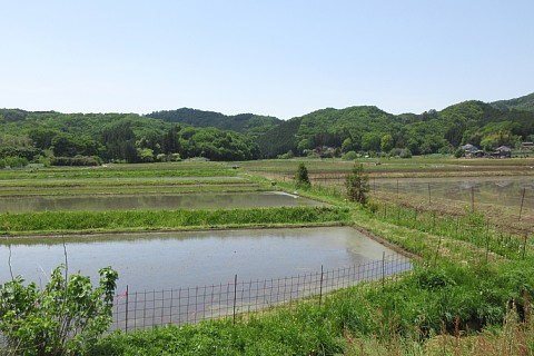 photo-20250505-3