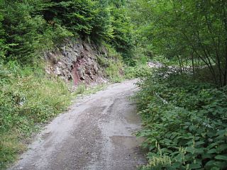 photo-070825-20