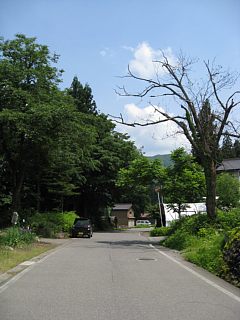 photo-080608-11