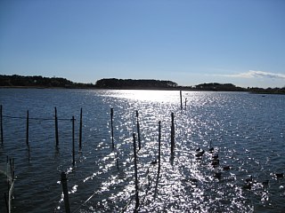 photo-081026-17
