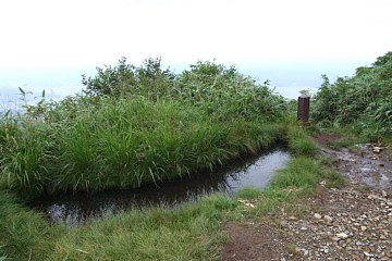 photo-090822-15