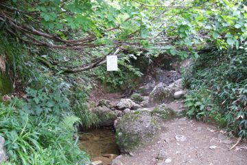 photo-090822-8