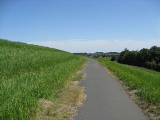 photo-090920-19