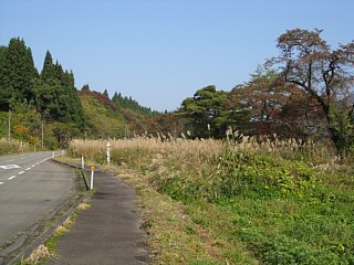 photo-091031-16
