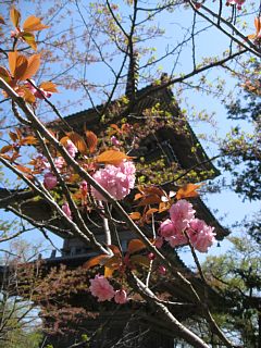 photo-20100501-12