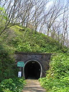 photo-20100501-16