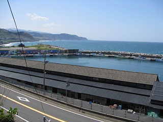 photo-20100501-22