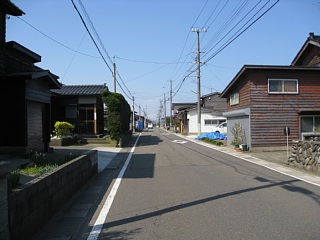 photo-20100501-5