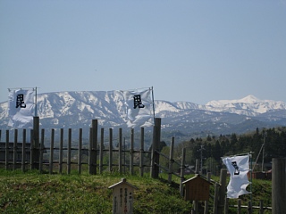 photo-20100501-9