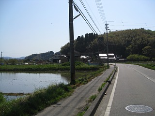 photo-20100502-37