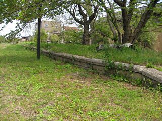 photo-20100502-8
