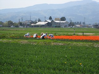 photo-20100503-12
