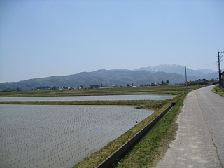 photo-20100503-16