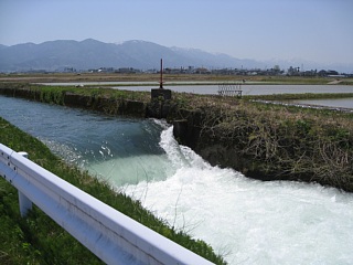 photo-20100503-17
