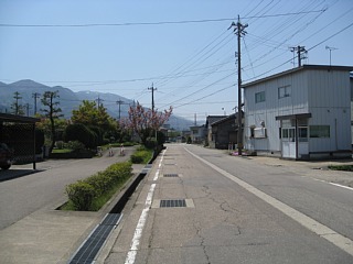 photo-20100503-20
