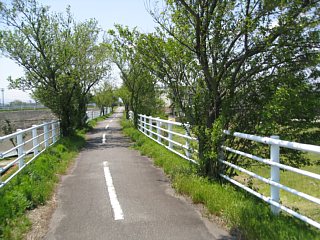 photo-20100503-21