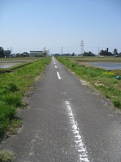 photo-20100503-30