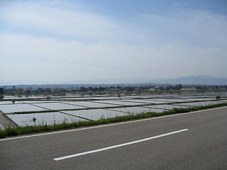 photo-20100503-4
