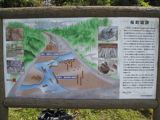 photo-20100503-42