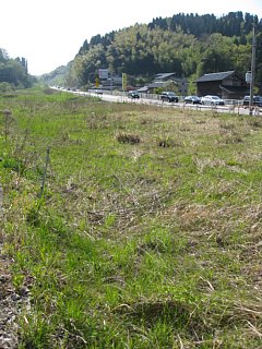 photo-20100503-43