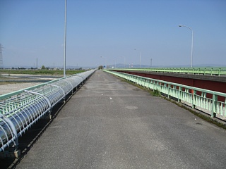 photo-20100503-5